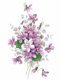 English violets.jpg