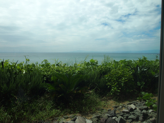 P1012635.jpg