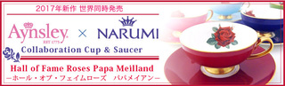 top_img_2017NARUMI_Collabo.jpg