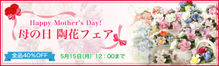 top_img_2017mothersday2.jpg
