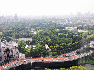 P5240478_b.jpg